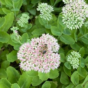 Meet your Posher, Kathryn